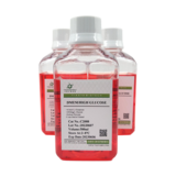 DMEM高糖，含谷氨酰胺、不含丙酮酸钠