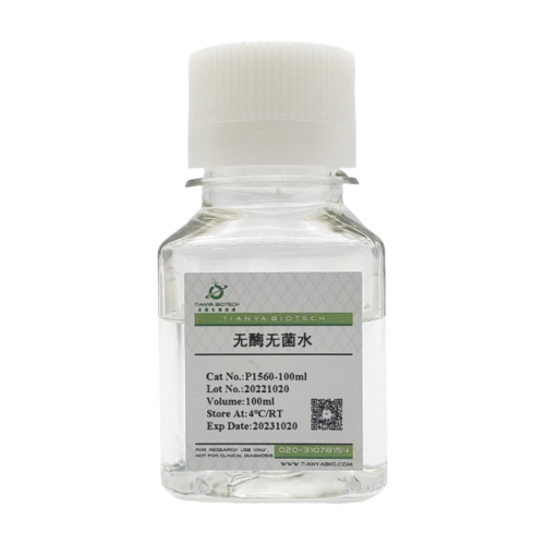 无酶无菌水（用于RNA)