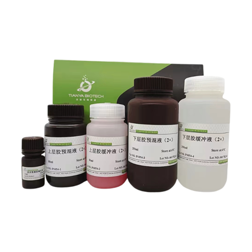 10%固定浓度超快速SDS-PAGE凝胶配制试剂盒