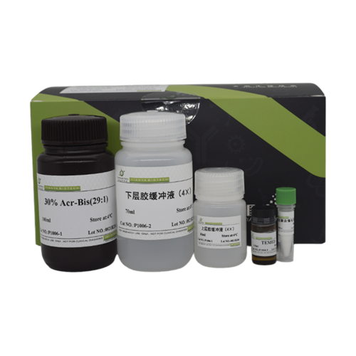 SDS-PAGE凝胶快速配制试剂盒