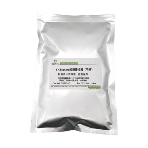 5×western湿转转膜缓冲液(干粉)