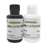 超敏ECL化学发光试剂盒