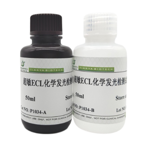 超敏ECL化学发光试剂盒