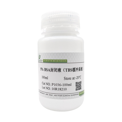 5%BSA封闭液（TBS缓冲系统）