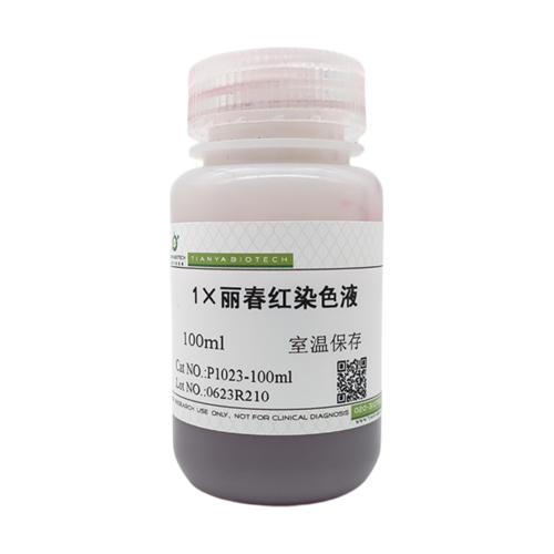 1X丽春红染色液