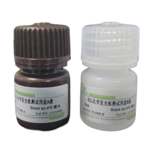 ECL化学发光试剂盒