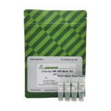 2× Unitaq SYBR qPCR Master Mix(ROX-)