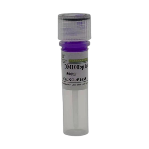 DM100bp ladeer DNA Marker